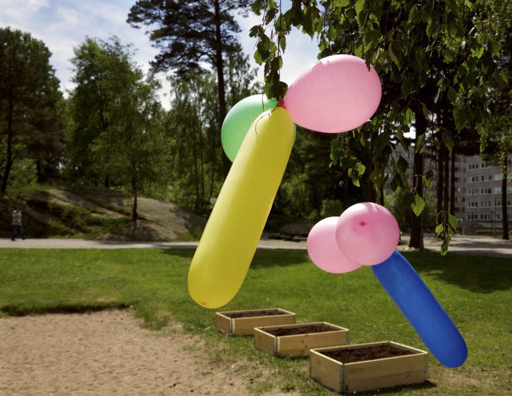 Martin Berg.ballonger och odling